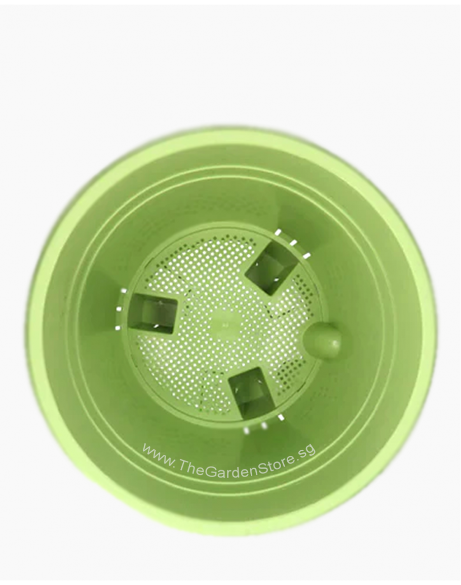 SelfWatering Pot with Water Storage Tray